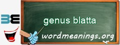 WordMeaning blackboard for genus blatta